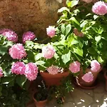 Wish Affittacamere Stari Grad (Hvar)
